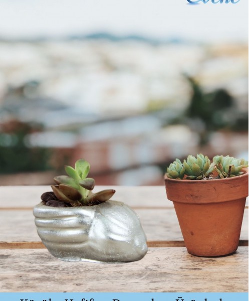 Mini Çiçek Saksı Küçük Sukulent Gümüş Kaktüs Saksısı Mini Deniz Salyangozu Model